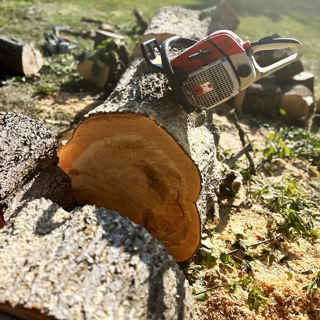 firewood-1
