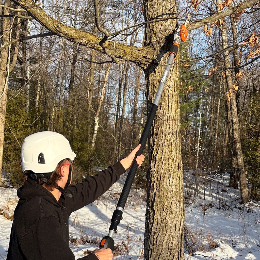 pruning-1